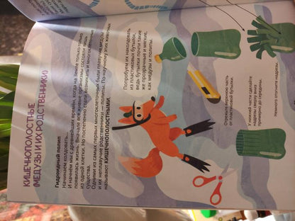 Биомоделирование. Курс дрессировки и превращения мусора