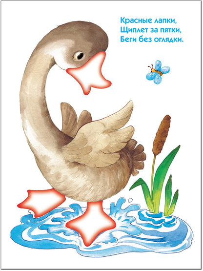 ШСГ Второй год обучения. Кто это, что это?