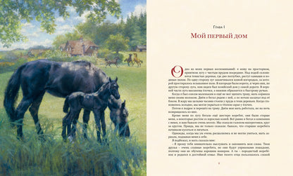 Чёрный Красавчик