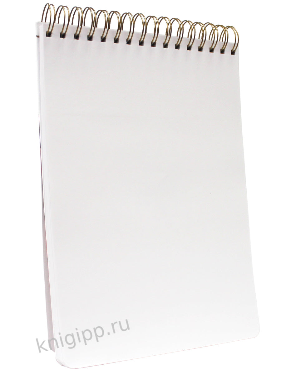 MyArt. СКЕТЧБУК А4 на гребне. АНИМЕ. LOVE STORY