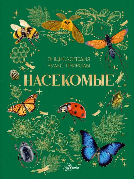 Насекомые