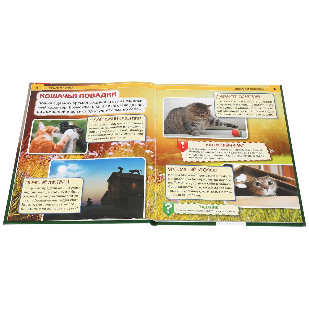 Кошки и котята. (Энциклопедия А4 с развивающими заданиями). 197х255 мм. 48 стр. Умка в кор.15шт