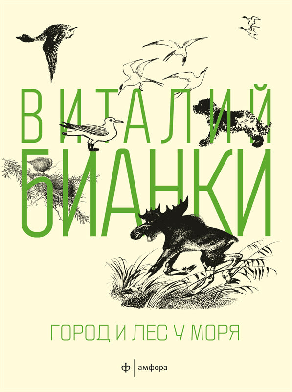 Город и лес у моря