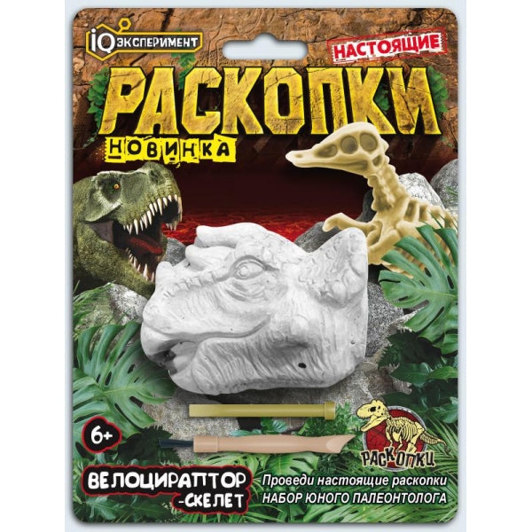 Набор раскопок черепа динозавра велоцираптора, блистер. IQ Эксперимент в кор.2*72шт
