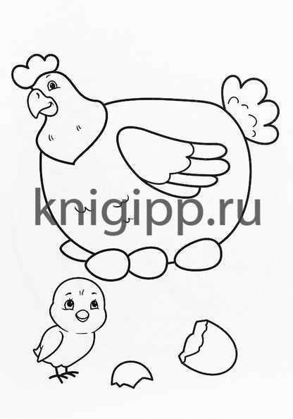 РАСКРАСКА А4 эконом. ЖИВОТНЫЕ