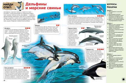 Интерактивная энциклопедия для школьников. Ответы на 1000 вопросов