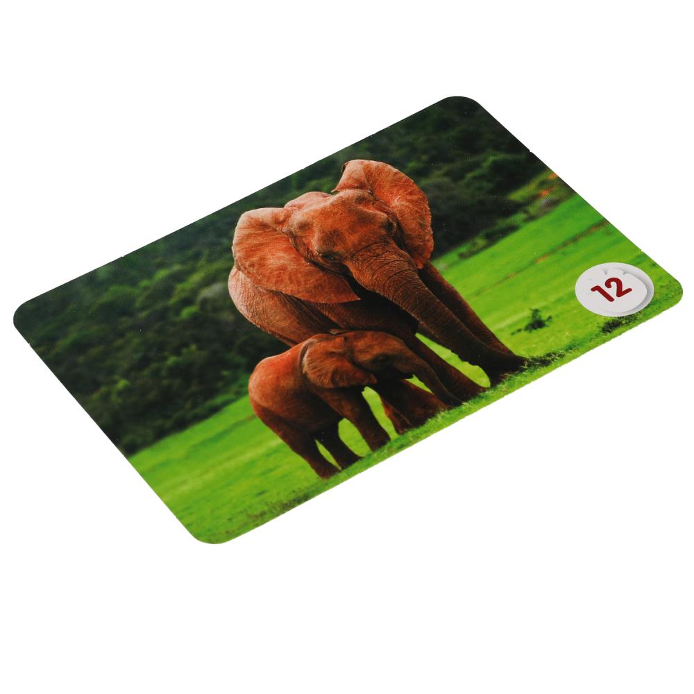 Mamans et petites filles. Carte du jeu Mémo. 50 cartes 65x95mm. Couleur: 125х170х40мм. Умные игры в кор.50шт