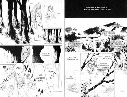 В лес, где мерцают светлячки. Мидорикава Ю.