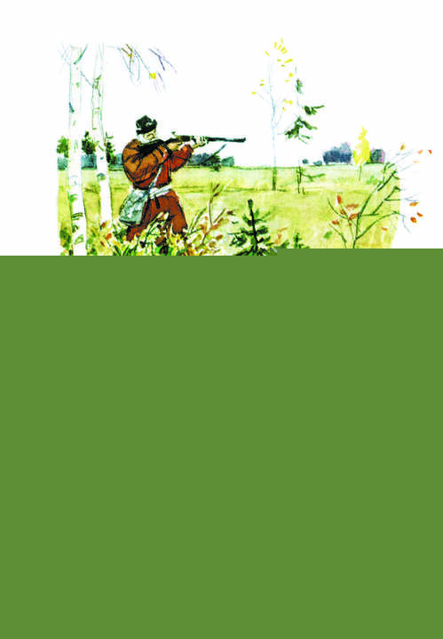 Некрасов. Дедушка Мазай и зайцы. Книга за книгой (тв.).