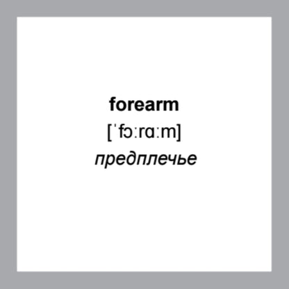 500 самых нужных английских слов и фраз. Флеш-карточки (с русской транскрипцией)