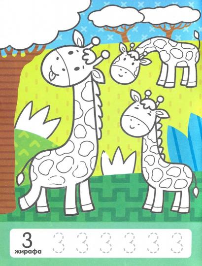 Считаем в зоопарке:книжка-раскраска