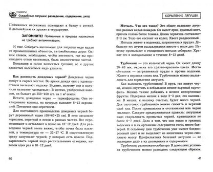 Съедобные лягушки:разведение,содержание,уход