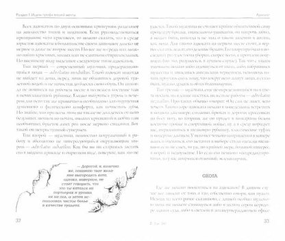100 способов приручения вида"мужчина обыкновенный"