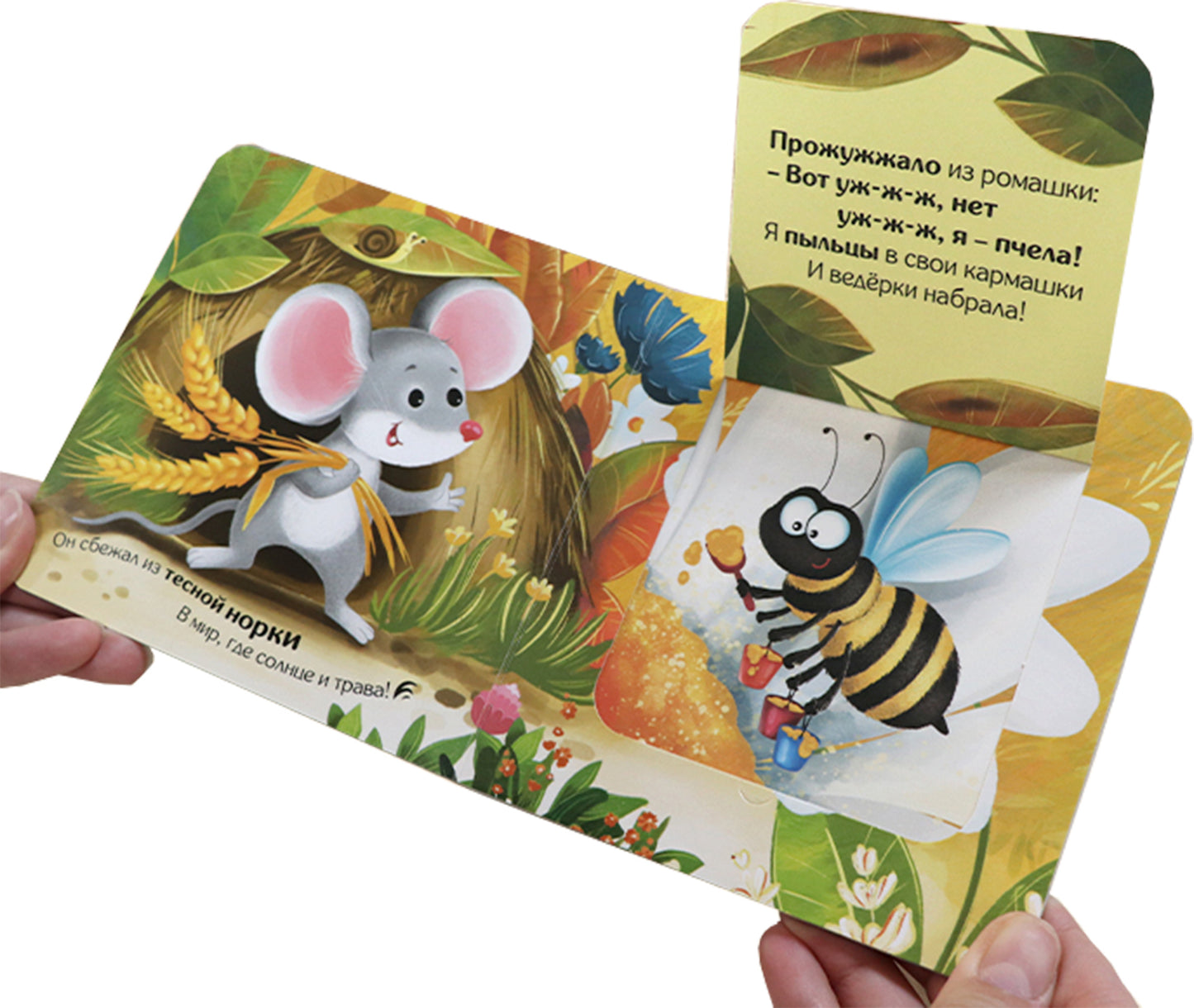 Прятки для самых маленьких. Где спрятался цыпленок.