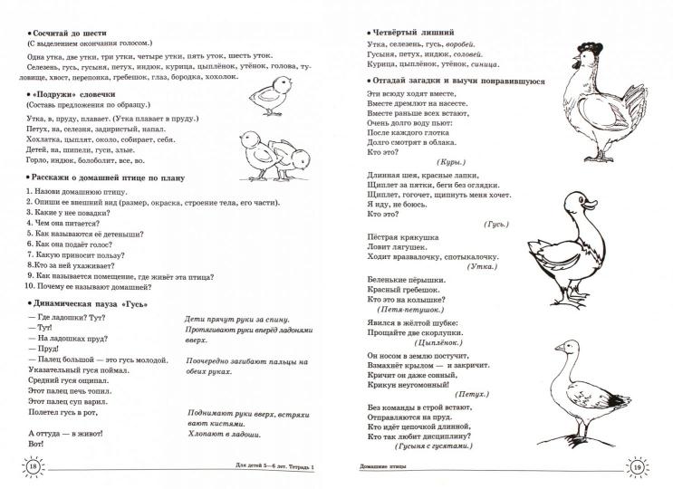 ДЛТ Учим слова и предложения. Речевые игры и упражнения для детей 5—6 лет: В 3 тетрадях. Тетрадь 1