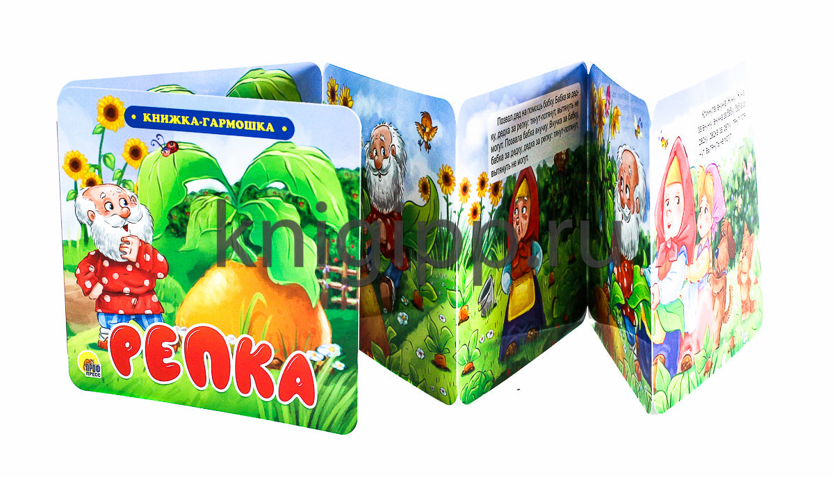 КНИЖКА-ГАРМОШКА. РЕПКА