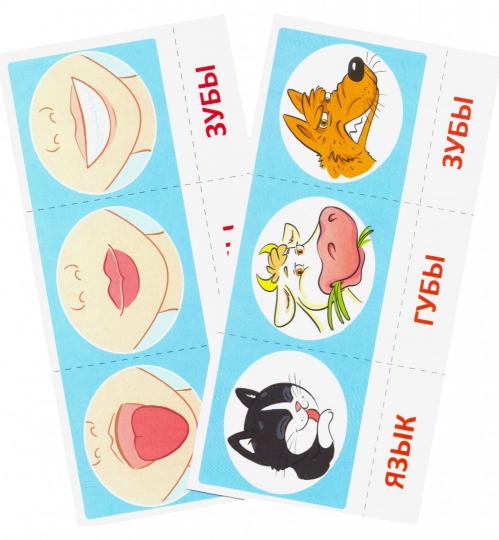 Набор карточек с рисунками. Артикуляционная гимнастика. Для детей 4-7 лет (учебно¬игровой комплект) / Танцюра С.Ю.