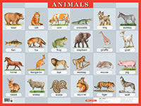 Животные. Animals. Наглядное пособие по англ.яз.
