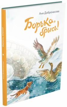 Борька, брысь!