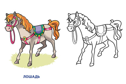 Раскраска. Домашние животные. 2-4 года.