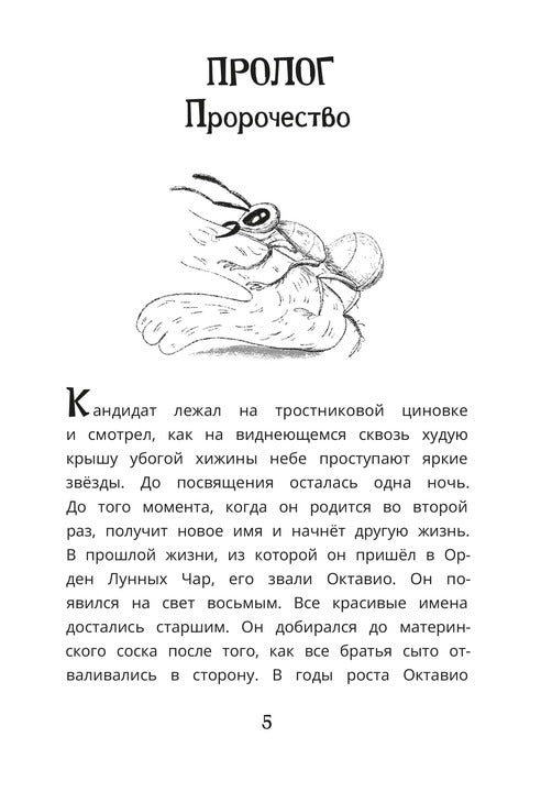 Рип.ДелоВедетМедоед.Тайна тонущего корабля