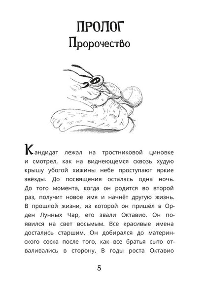 Рип.ДелоВедетМедоед.Тайна тонущего корабля