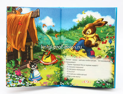 ТРИ ЛЮБИМЫХ СКАЗКИ. ТЕРЕМОК