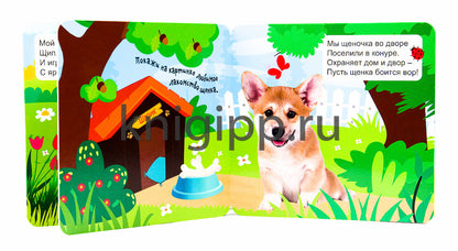 КНИЖКА-ГАРМОШКА. ДОМАШНИЕ ЖИВОТНЫЕ