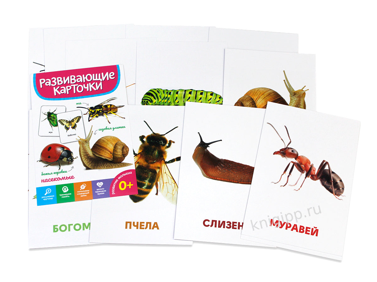 РАЗВИВАЮЩИЕ КАРТОЧКИ. НАСЕКОМЫЕ
