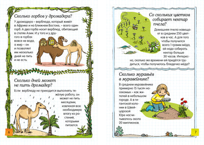 Скажи мне, что это?