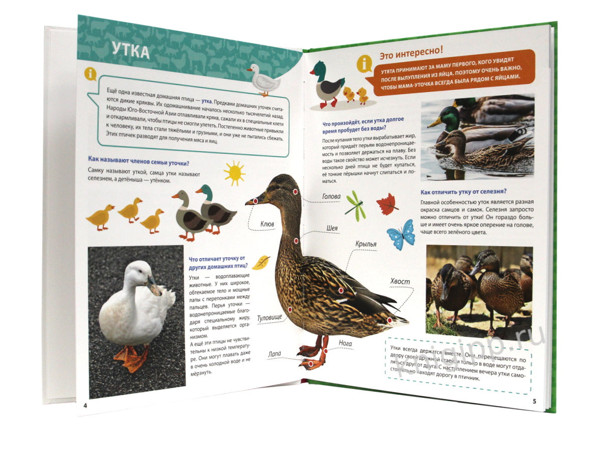 ПЕРВАЯ ДЕТСКАЯ ЭНЦИКЛОПЕДИЯ. ВСЁ О ЖИВОТНЫХ ФЕРМЫ МАЛЫШАМ