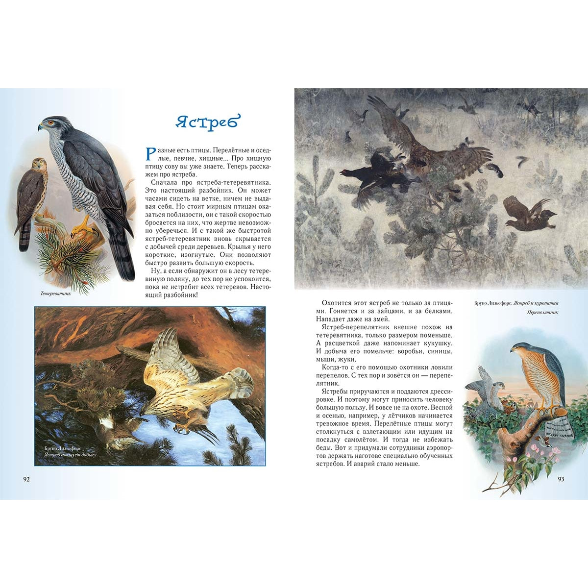 Прогулки по лесу. - 2-е изд.