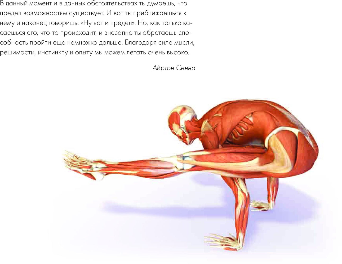 Ключевые позы йоги