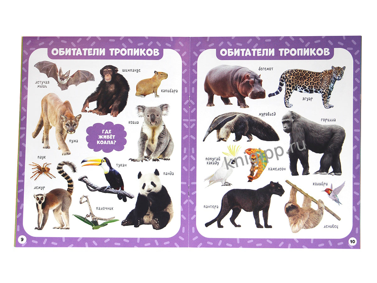 МОИ ПЕРВЫЕ СЛОВА. Животные