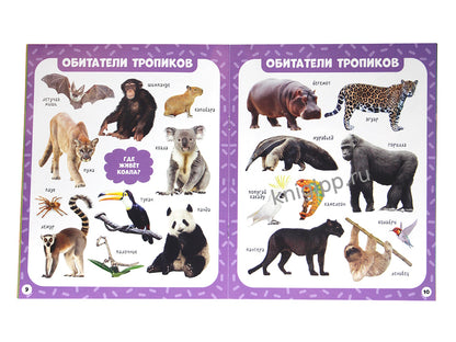 МОИ ПЕРВЫЕ СЛОВА. Животные