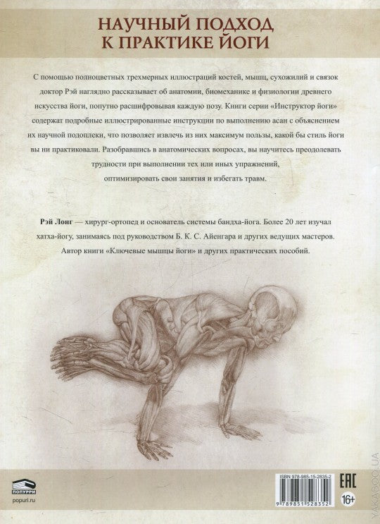 Анатомия виньяса-флоу и асан, выполняемых стоя