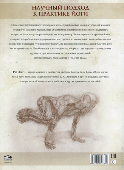 Анатомия виньяса-флоу и асан, выполняемых стоя