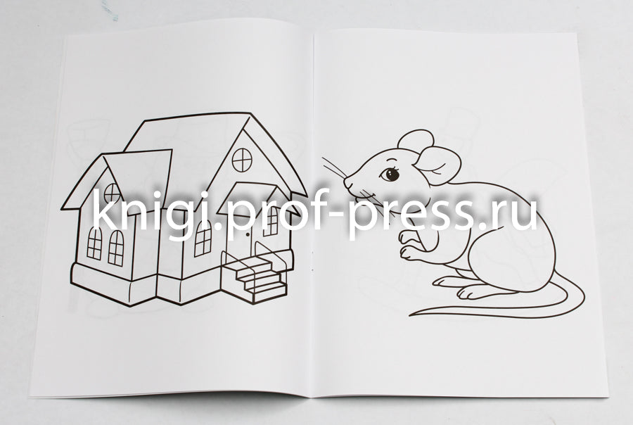 РАСКРАСКА А4 эконом. ДЛЯ САМЫХ МАЛЕНЬКИХ