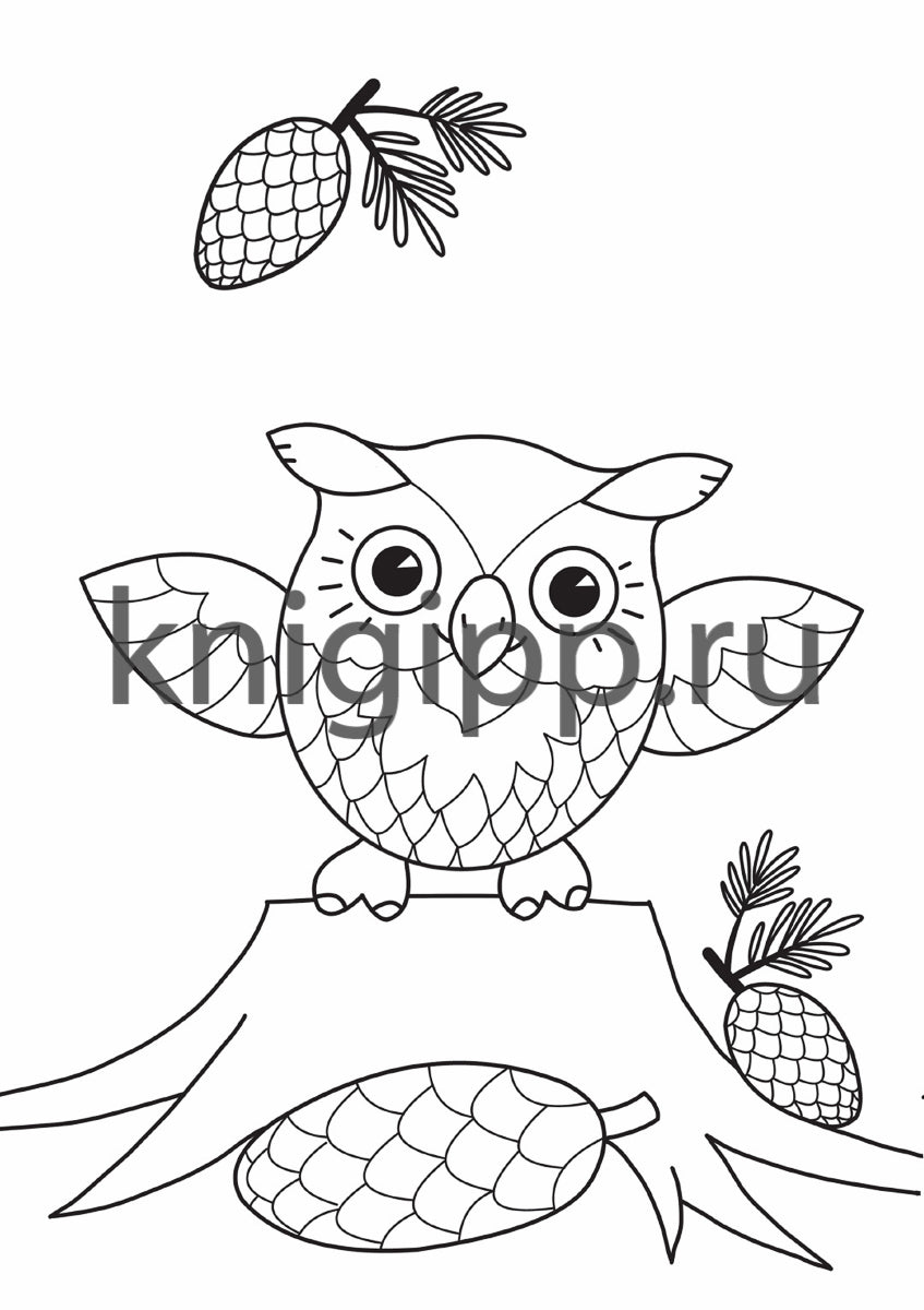 РАСКРАСКА А4 эконом. МОИ КАРТИНКИ