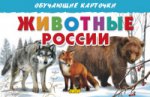 Карточки. Животные России ; Карточки. Животные России