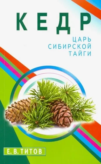 Кедр - царь сибирской тайги