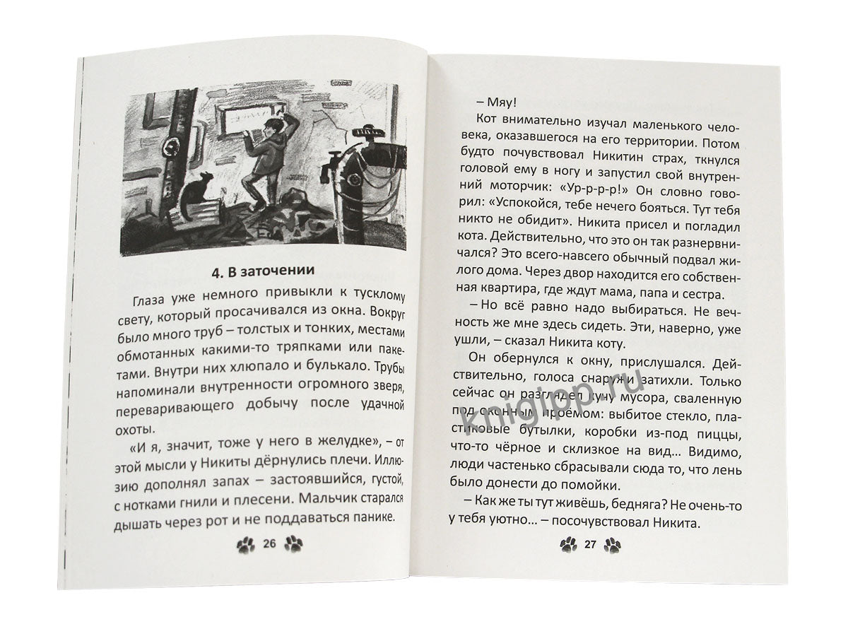 Я ТЕБЯ НЕ БРОШУ. Кот, который нам нужен (КБС)