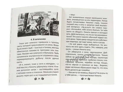 Я ТЕБЯ НЕ БРОШУ. Кот, который нам нужен (КБС)