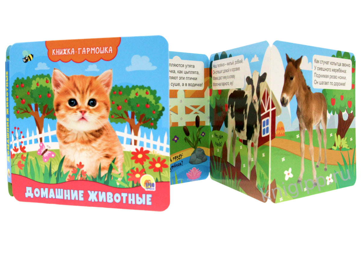 КНИЖКА-ГАРМОШКА. ДОМАШНИЕ ЖИВОТНЫЕ