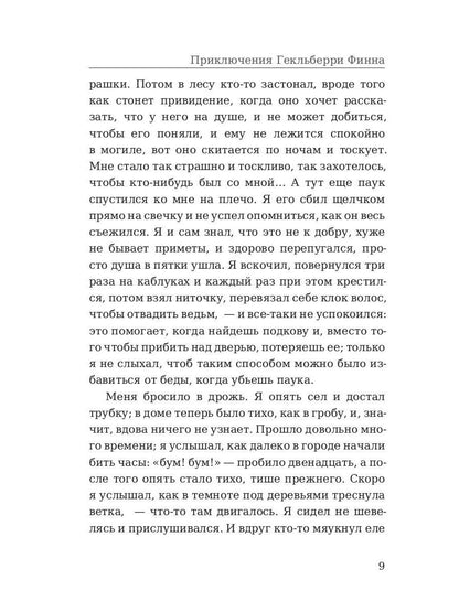 Приключения Гекльберри Финна: роман