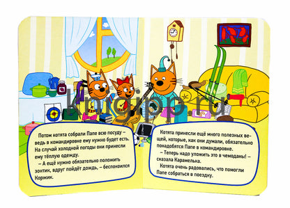 ТРИ КОТА. ЦК-МИНИ. КОМАНДИРОВКА