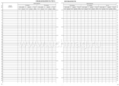 Классный журнал 10-11 классы