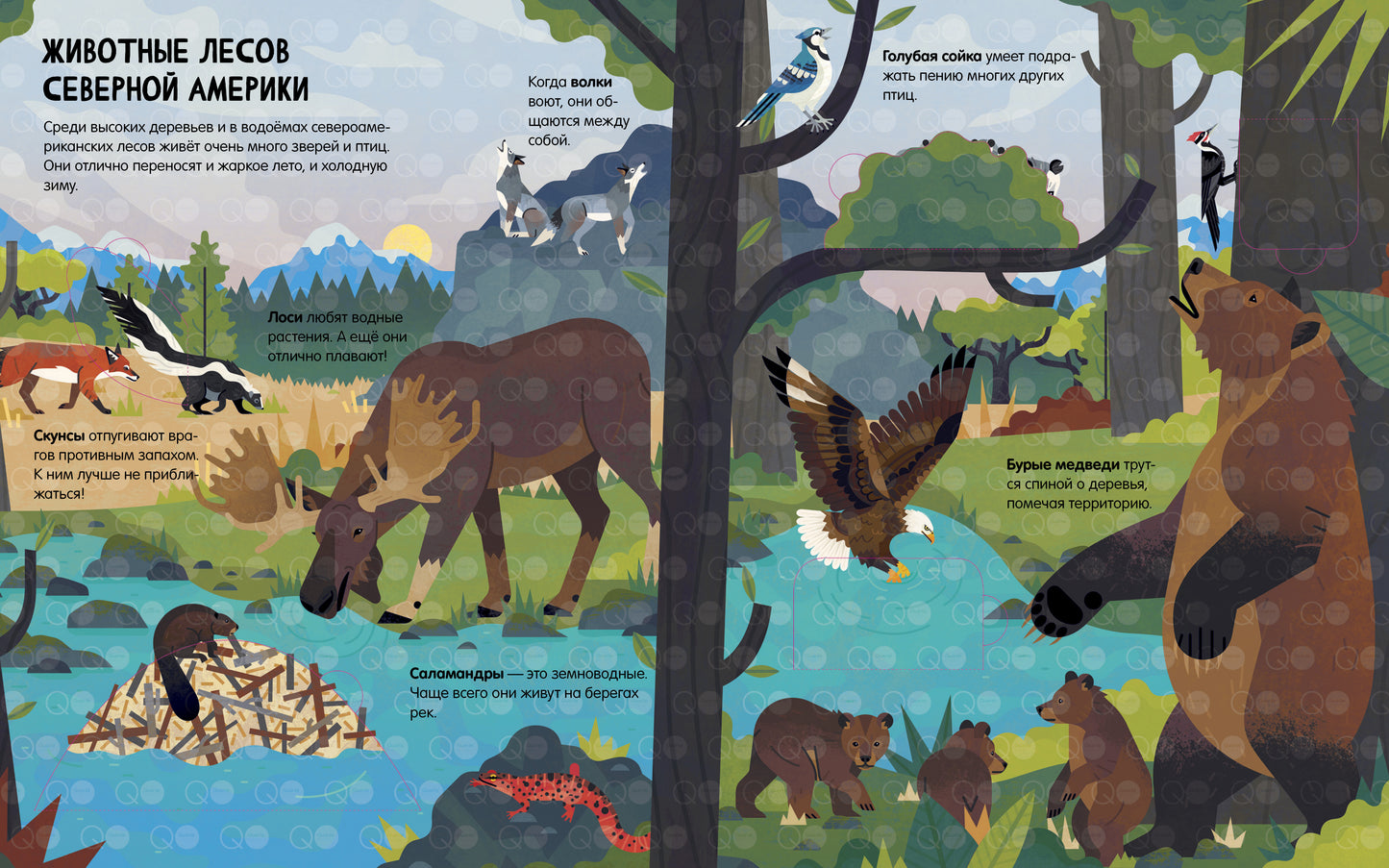 Энциклопедия с окошками. Животные. Энциклопедия с окошками/Петти У.