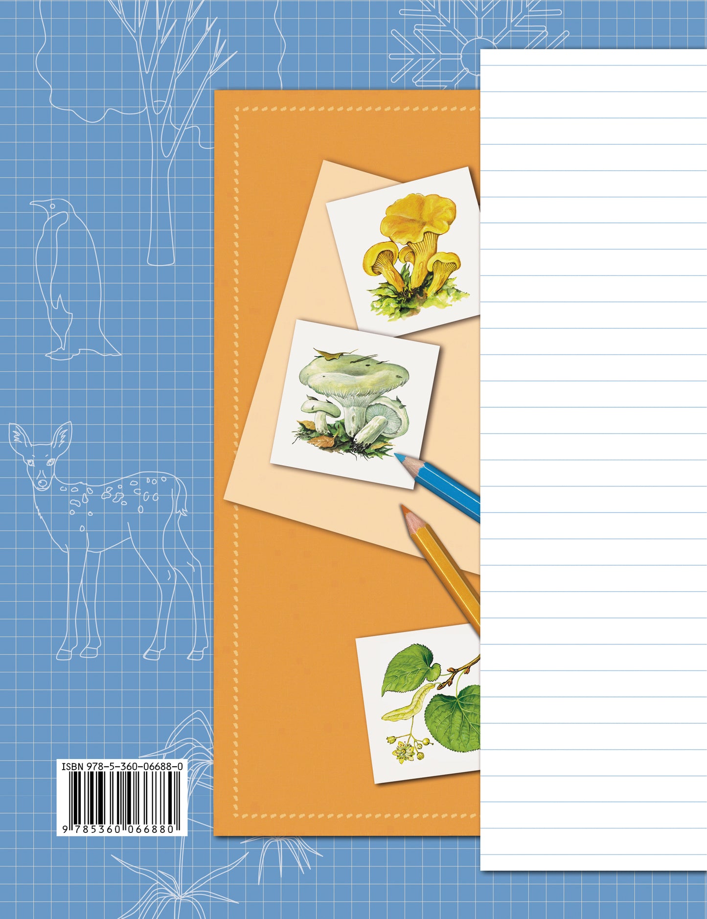 Окружающий мир. 3 класс. Рабочая тетрадь №1.