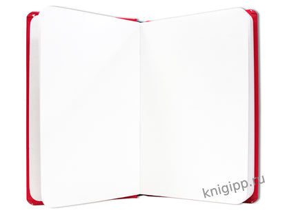 MyArt. СКЕТЧБУК "Wonderland sketchbook" АЛИСА С ФЛАМИНГО